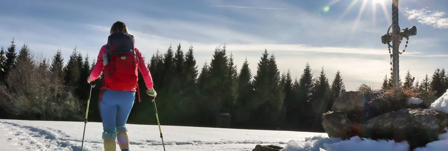 Schneeschuh Schneeschuhwanderung Dreieckkogel - Touren-Impression #1 | © Weges OG