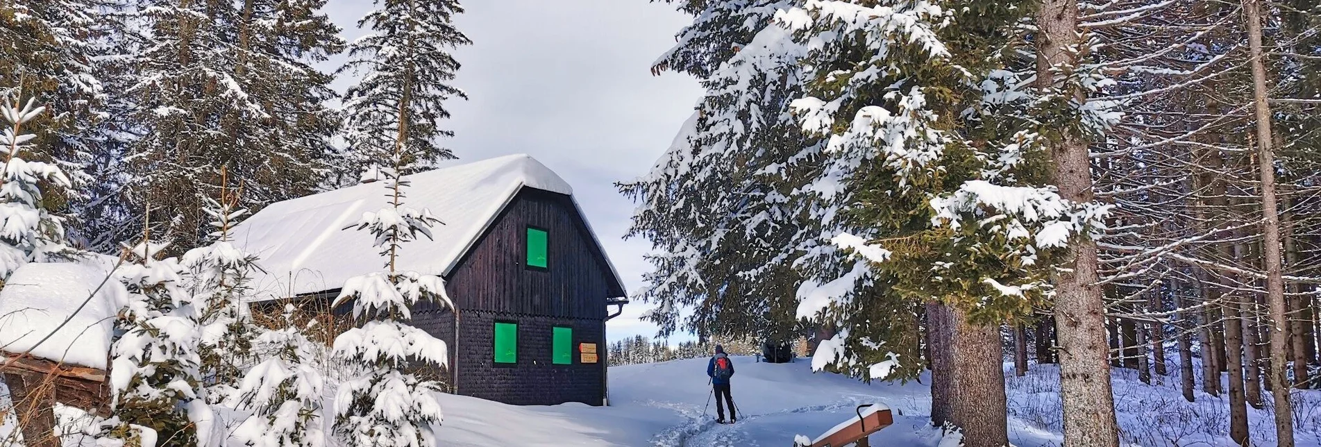 Snowshoe walking Snowshoe hike Gaaler Höhe - Touren-Impression #1 | © Weges OG