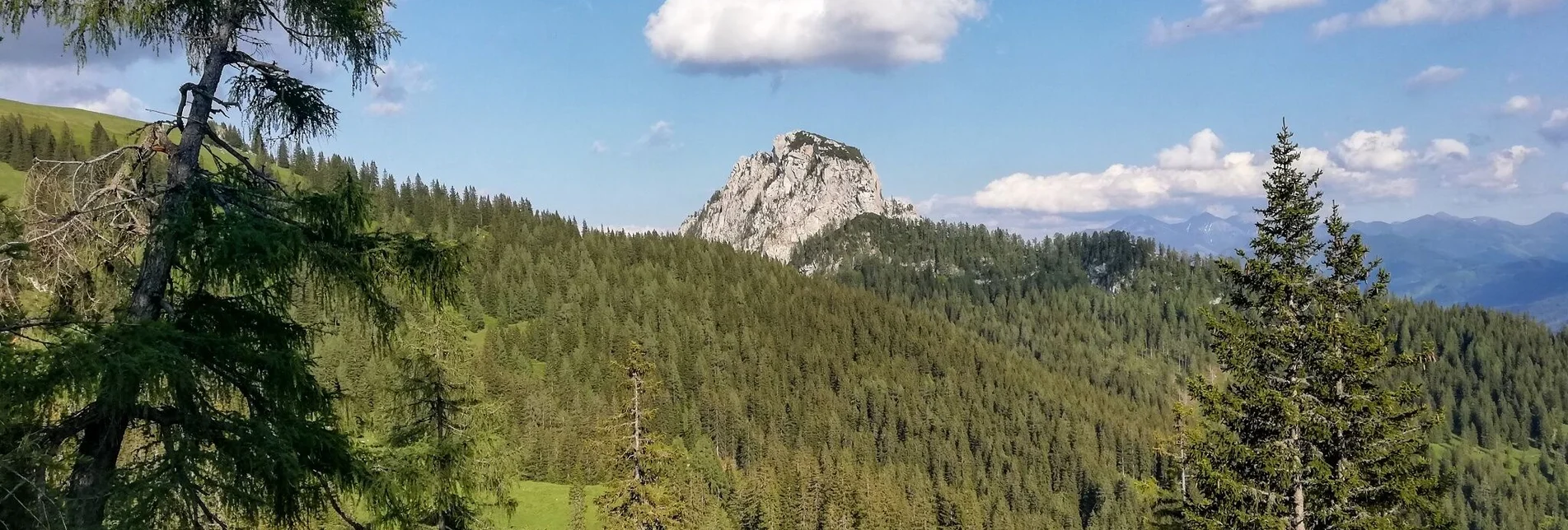 Hiking route Tausinground - Touren-Impression #1 | © Tourismusverband Grimming-Donnersbachtal