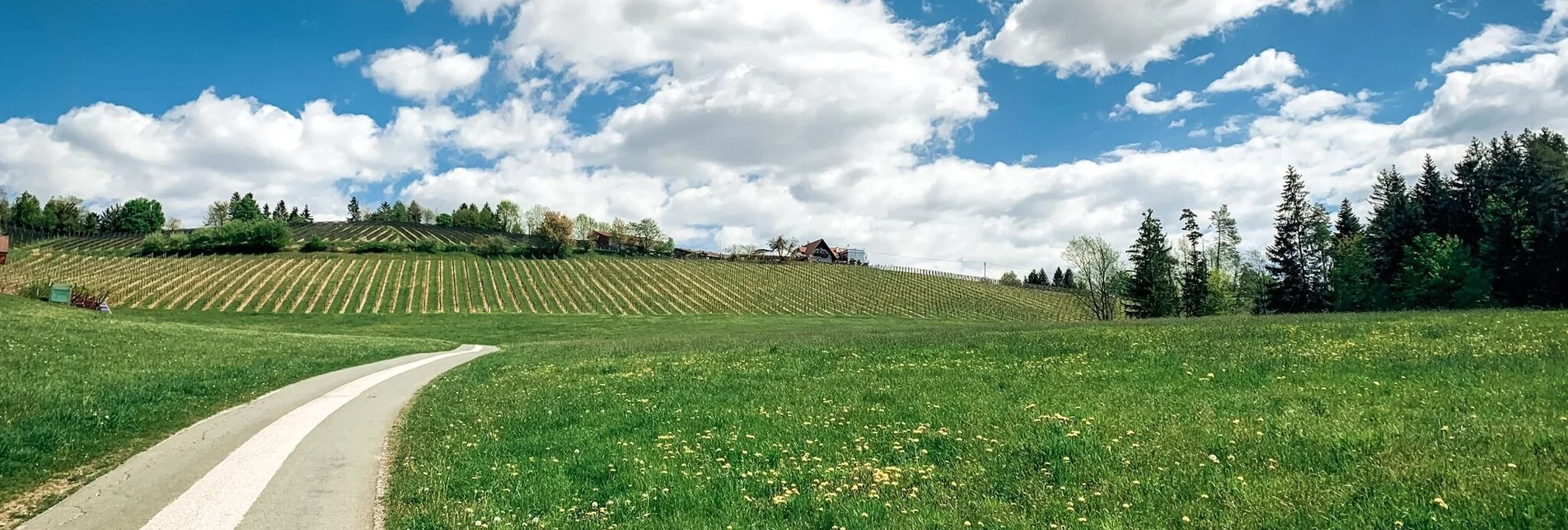 Mountainbike Panoramatour (Wies) - ein perfekter Dreiklang - Touren-Impression #1 | © Schilcherland Steiermark