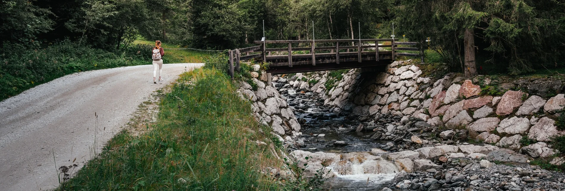 Hiking route Dorfrunde Donnersbachwald - Touren-Impression #1 | © Christoph Lukas