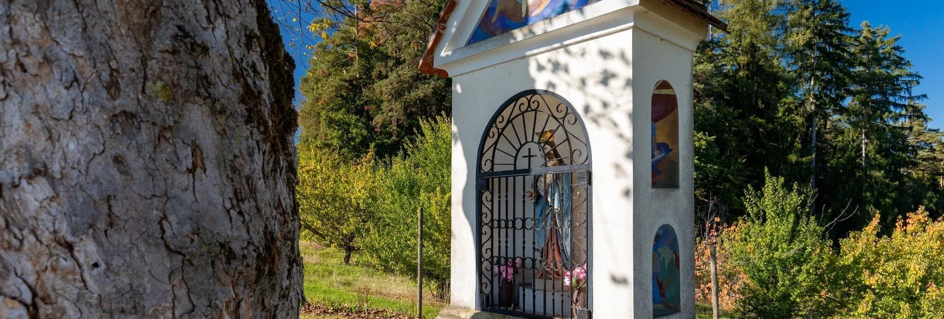 Bike Riding Chapel Tour - Eggersdorf near Graz - Touren-Impression #1 | © Region Graz