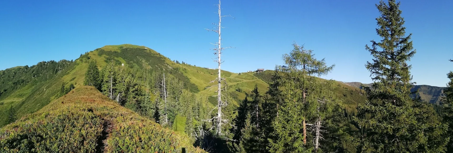 Hiking route Jagasteig-Riesneralm - Touren-Impression #1 | © Erlebnisregion Schladming-Dachstein