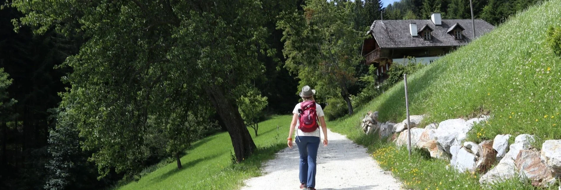 Hiking route Pullerrieglrunde Gasen - Touren-Impression #1 | © TVB Oststeiermark