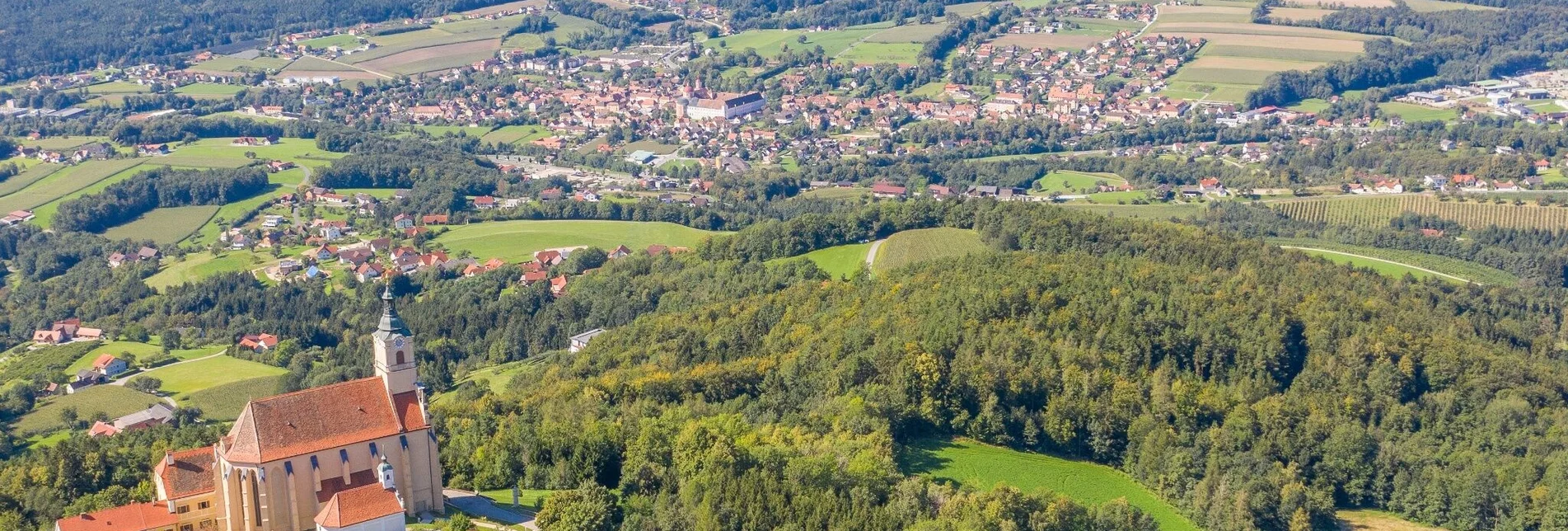 Bike Riding Cycle tour to the Ringwarte, Pöllauberg - Touren-Impression #1 | © Oststeiermark Tourismus