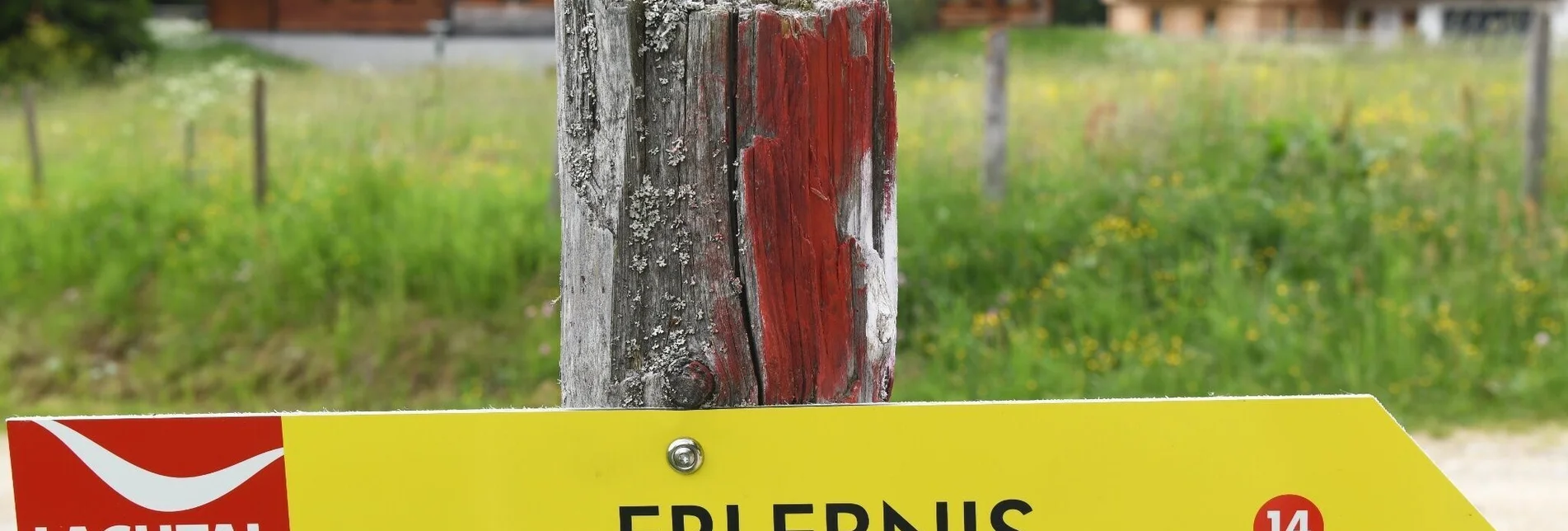 Themen- und Lehrpfad Wildes LACHTAL - der Erlebnisrundwanderweg für die ganze Familie - Touren-Impression #1 | © Tourismusverband Murau