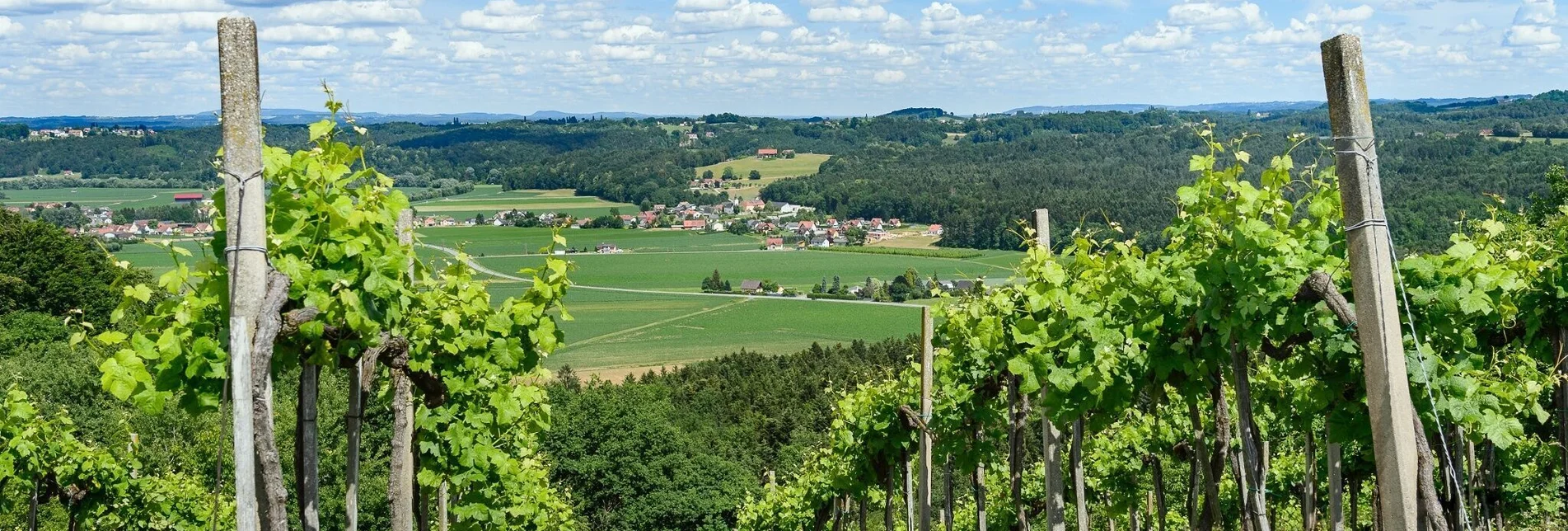 Wanderung Heimschuher-Runde Süd Variante 5a - Touren-Impression #1 | © Südsteiermark