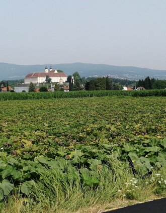 View of Stainz Castle | Schilcherland Steiermark | © Schilcherland Steiermark
