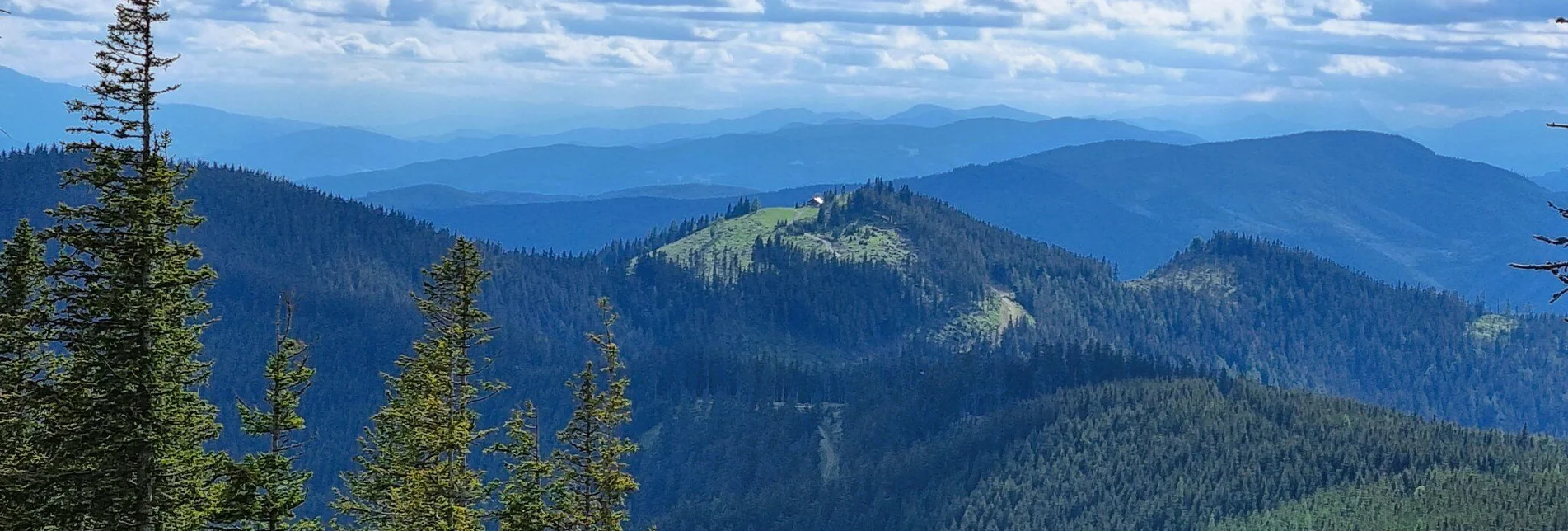 Wanderung Mit dem Bus zum Berg - Überschreitung der Hohen Scheibe - Touren-Impression #1 | © TV Hochsteiermark