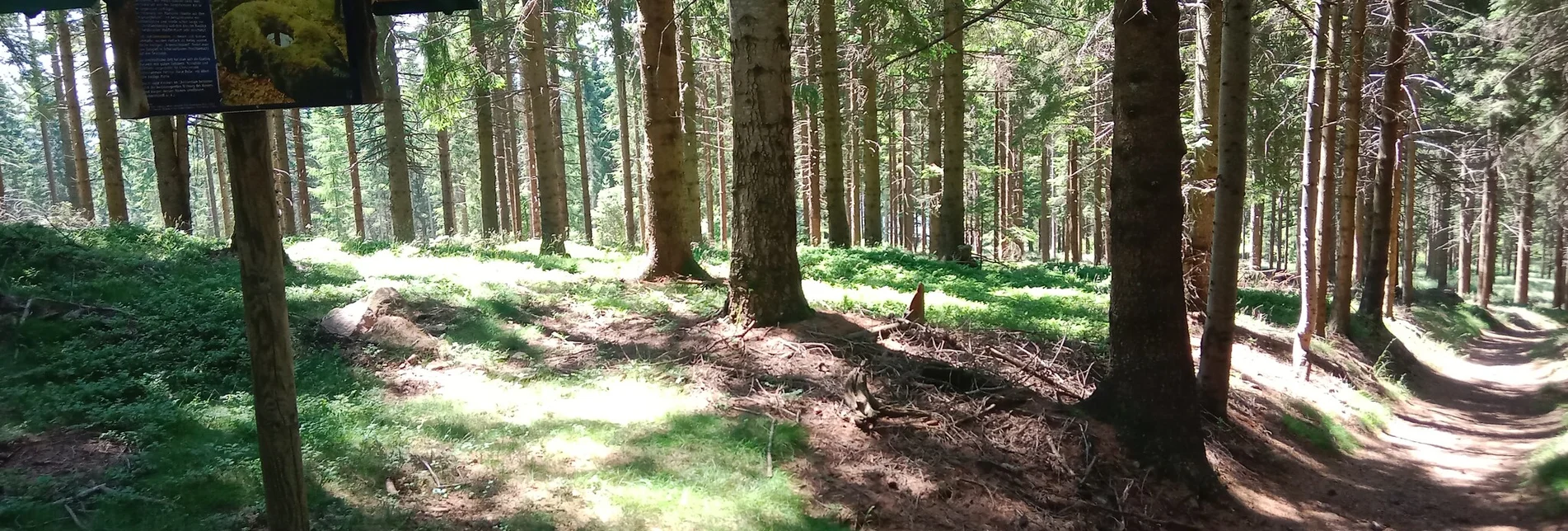 Wanderung Kultwanderweg Mondweg, Miesenbach - Touren-Impression #1