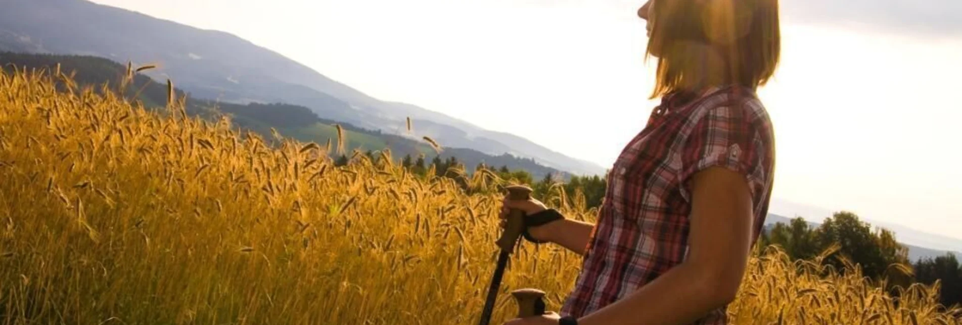 Wanderung Kring Galgen Rundweg, Vorau - Touren-Impression #1 | © Verein Vorauer Wirtschaft