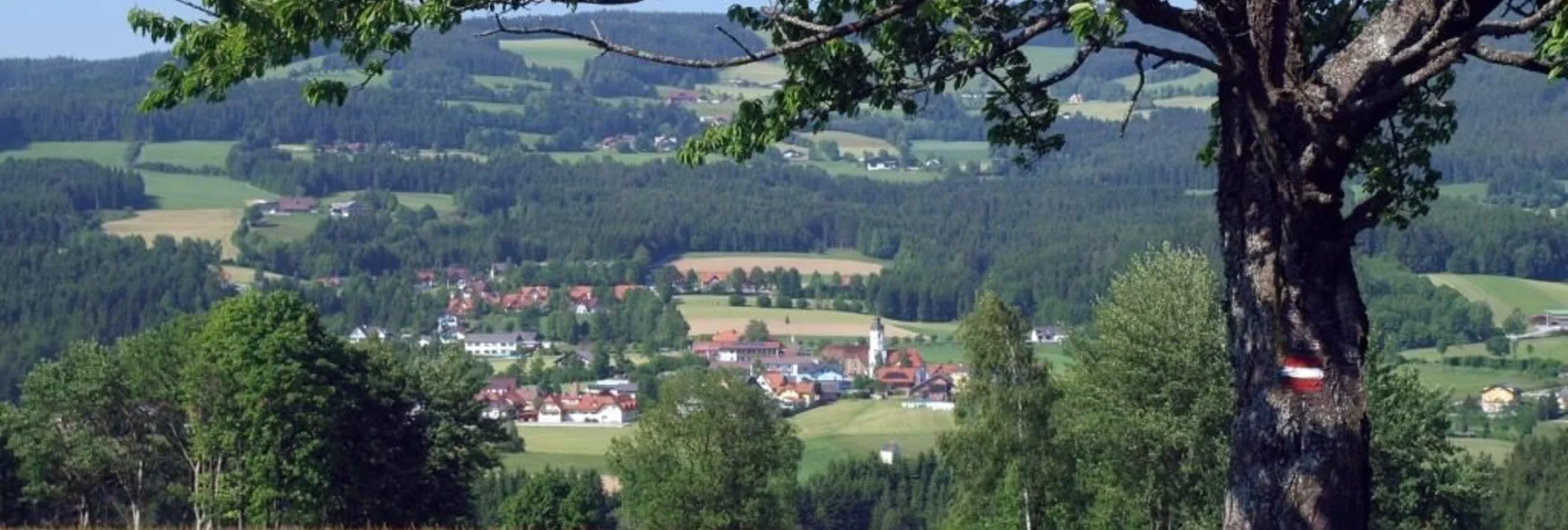 Wanderung Miesenbach-Runde, Miesenbach - Touren-Impression #1 | © TV Miesenbach, Studio fotogen