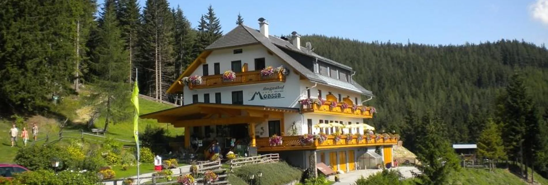 Alpine Climbing Über den Taimler-Pfusterschmied Gedenkweg auf die Rax im Naturpark Mürzer Oberland - Touren-Impression #1 | © Unbekannt