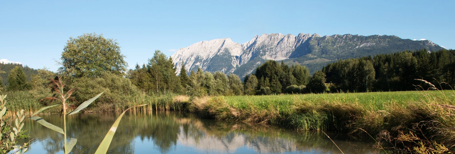 Wanderung Kinderwagentour: Weg durch das Naturschutzgebiet Laasen - Touren-Impression #1 | © Tourismusverband Ausseerland - Salzkammergut