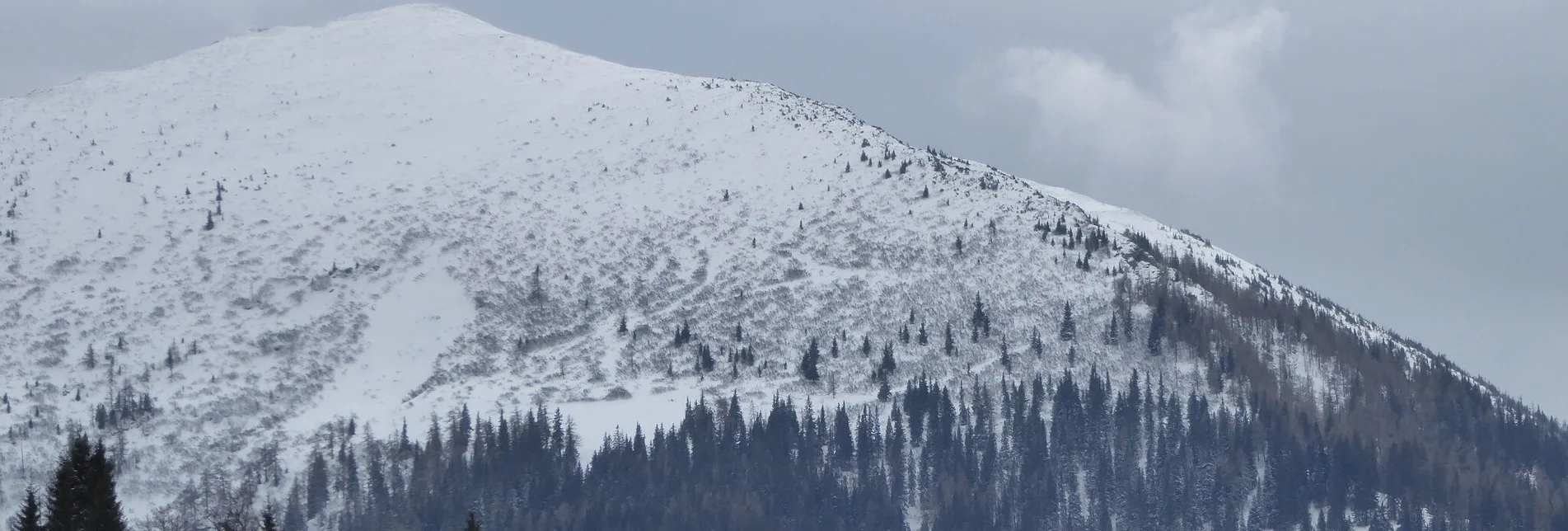 Skitour Leobner - Touren-Impression #1 | © TV Gesäuse