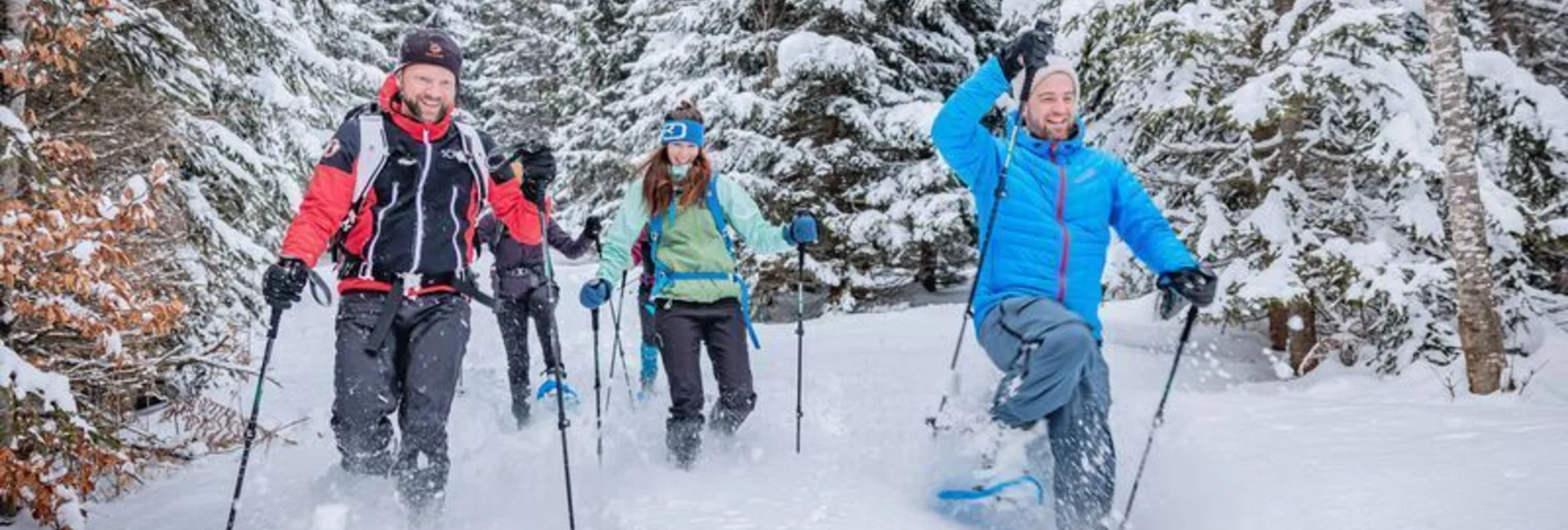 Snowshoe walking Übereckrunde Johnsbach - Touren-Impression #1 | © TV Gesäuse