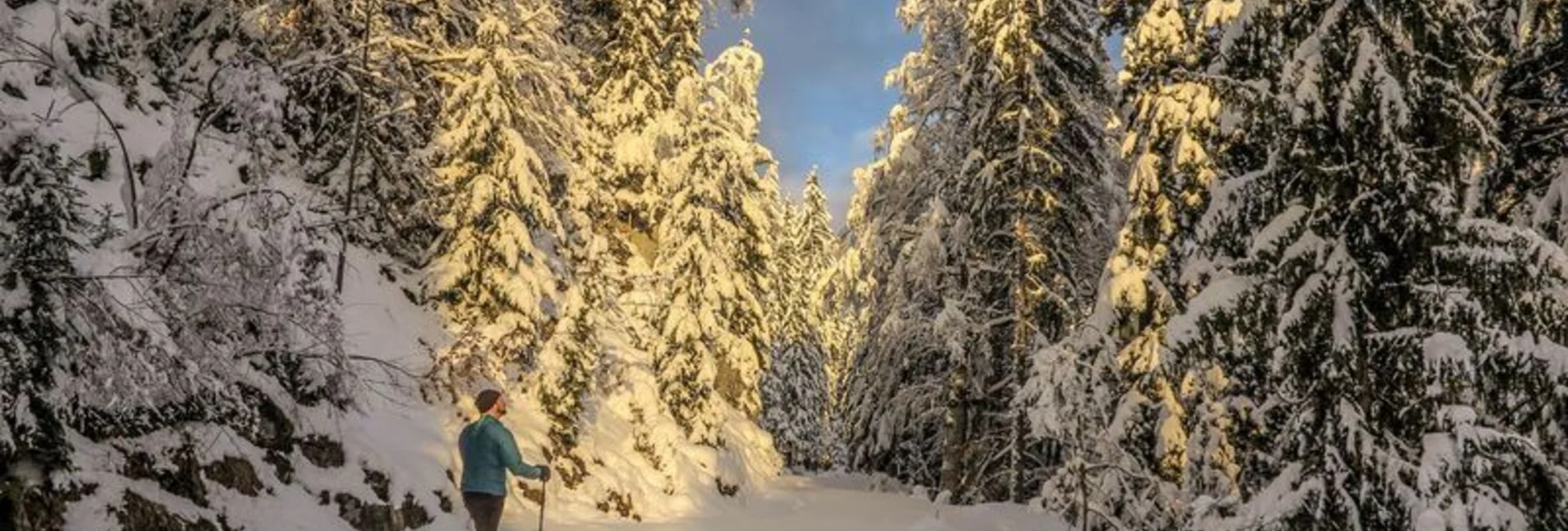 Snowshoe walking Johnbacher Almenrunde - Touren-Impression #1 | © TV Gesäuse