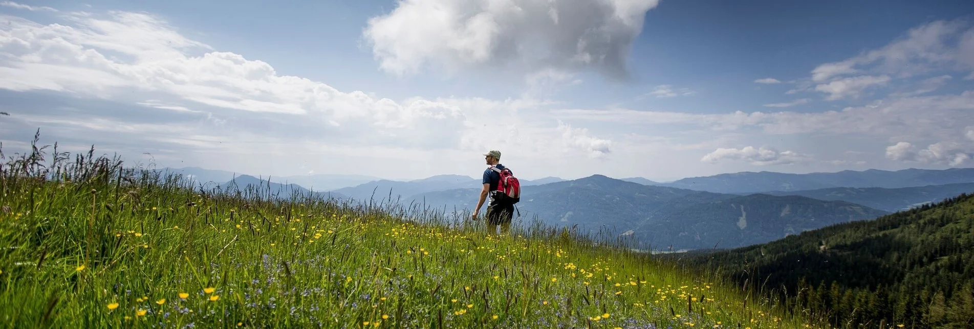 Hiking route Dorfer Alm - Touren-Impression #1 | © Tourismusverband Murau