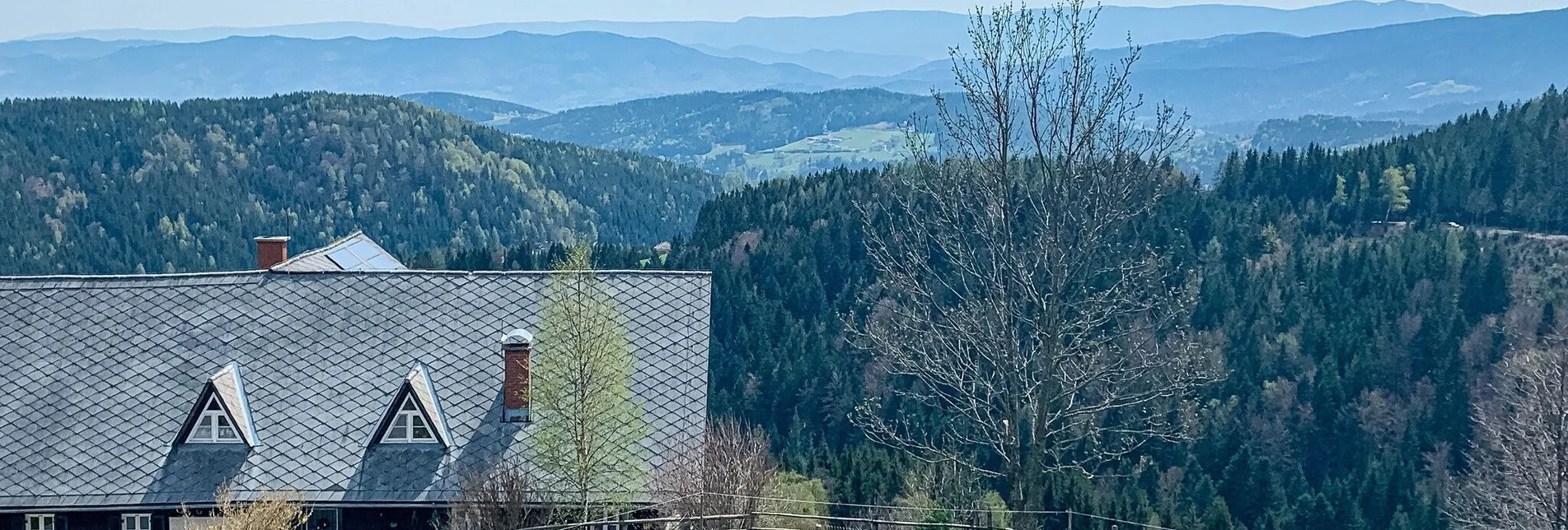 Mountainbike Schmuckbauerwirt – St. Anna – die Radtour für Mutige - Touren-Impression #1 | © Südsteiermark