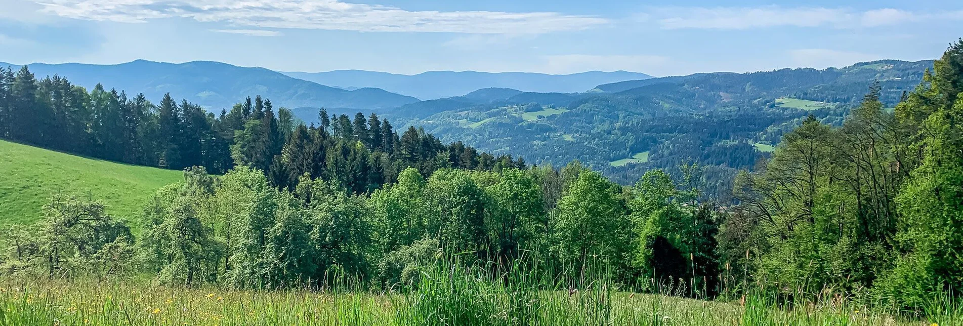 Mountainbike Um den Buchenberg – Stairway to Heaven - Touren-Impression #1 | © Südsteiermark