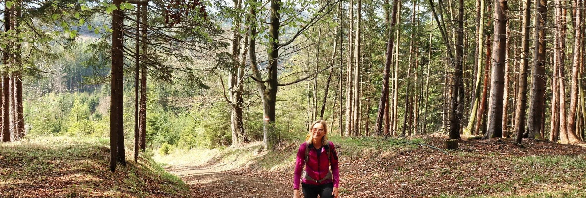 Hiking route Himberger Eck - Touren-Impression #1 | © Tourismusverband ERZBERG LEOBEN