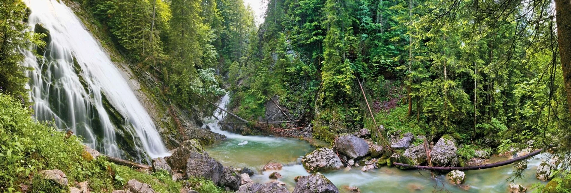 Wanderung Rundweg Tauplitz - Touren-Impression #1 | © Unbekannt