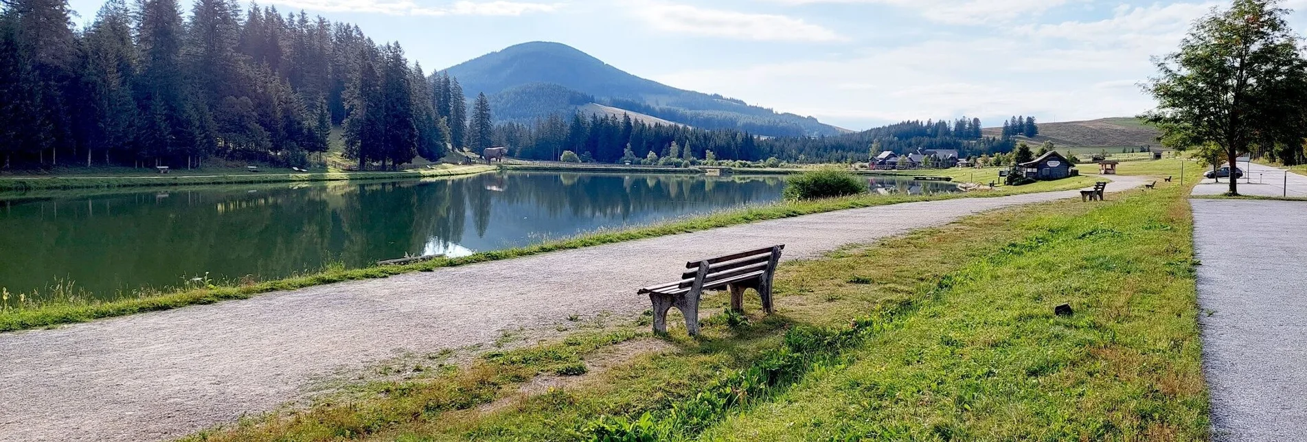 Radfahren Drachentour, Teichalm - Touren-Impression #1 | © Oststeiermark Tourismus