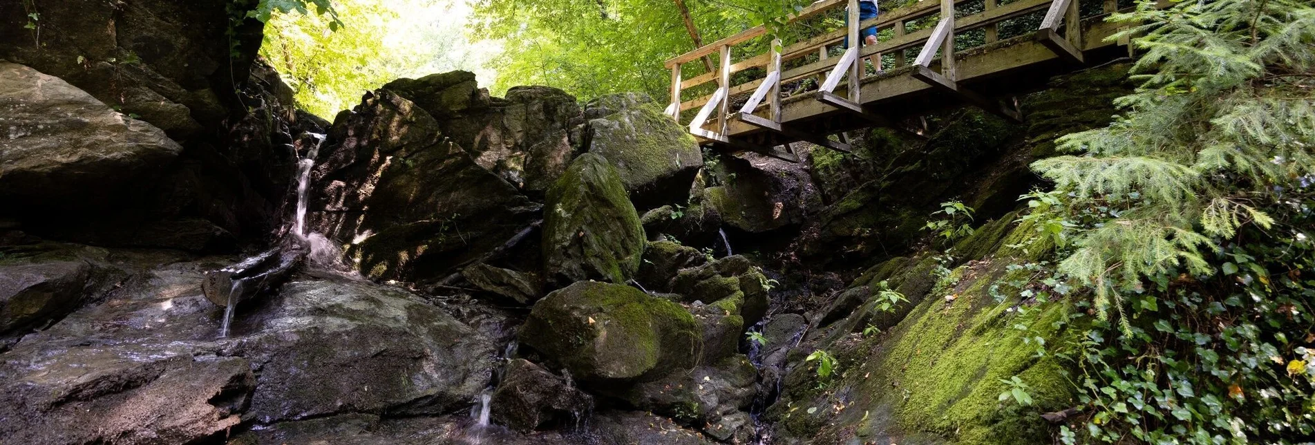 Wanderung Wanderung der Sinne: Rettenbachklamm - Mariatrost - Touren-Impression #1 | © Graz Tourismus