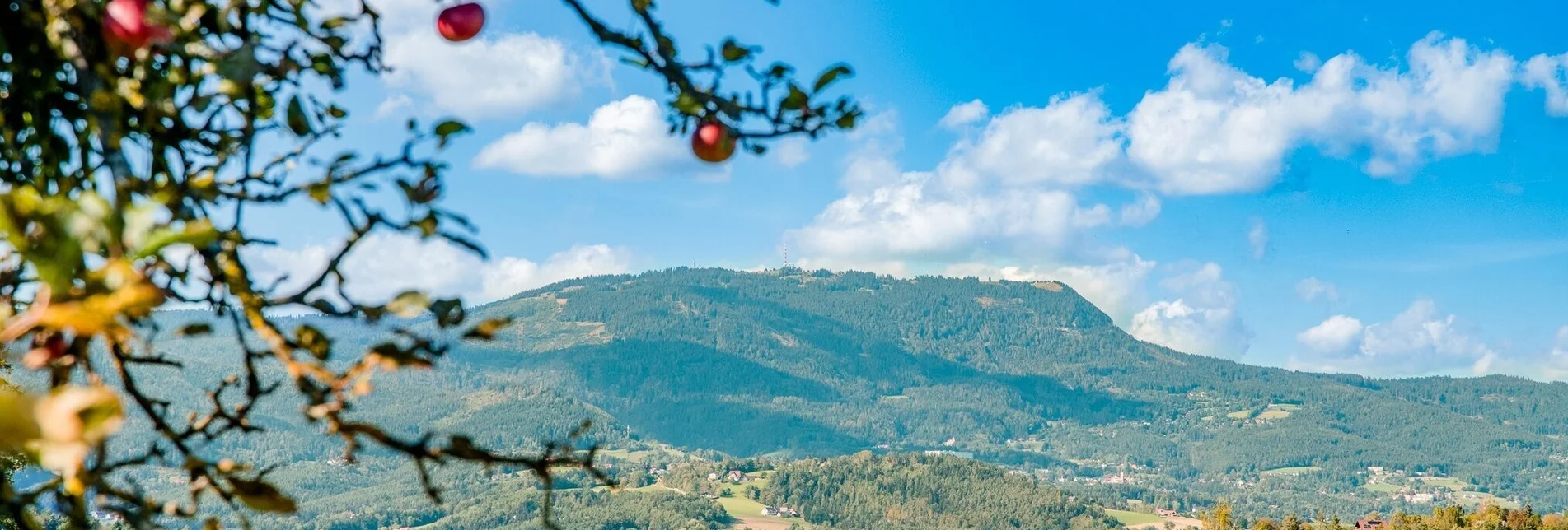 Wanderung Grenzenlos: Zwischen dem Schaf- und Stiftingtal - Touren-Impression #1 | © Graz Tourismus