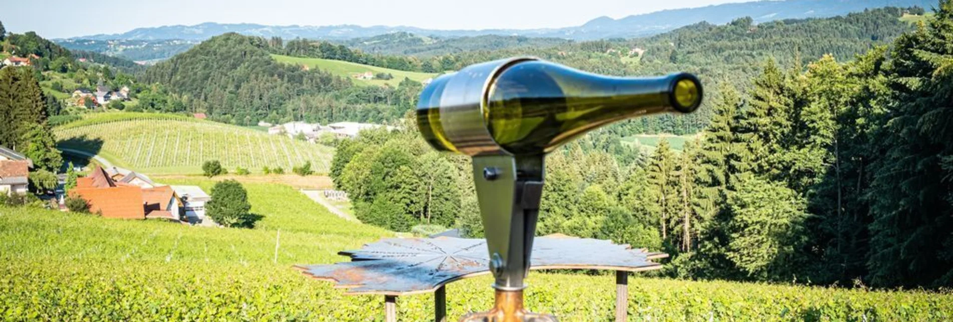 Themen- und Lehrpfad Erlebnis Schilcher Weinwelt - Touren-Impression #1 | © TVB/Südsteiermark/Jöbstl