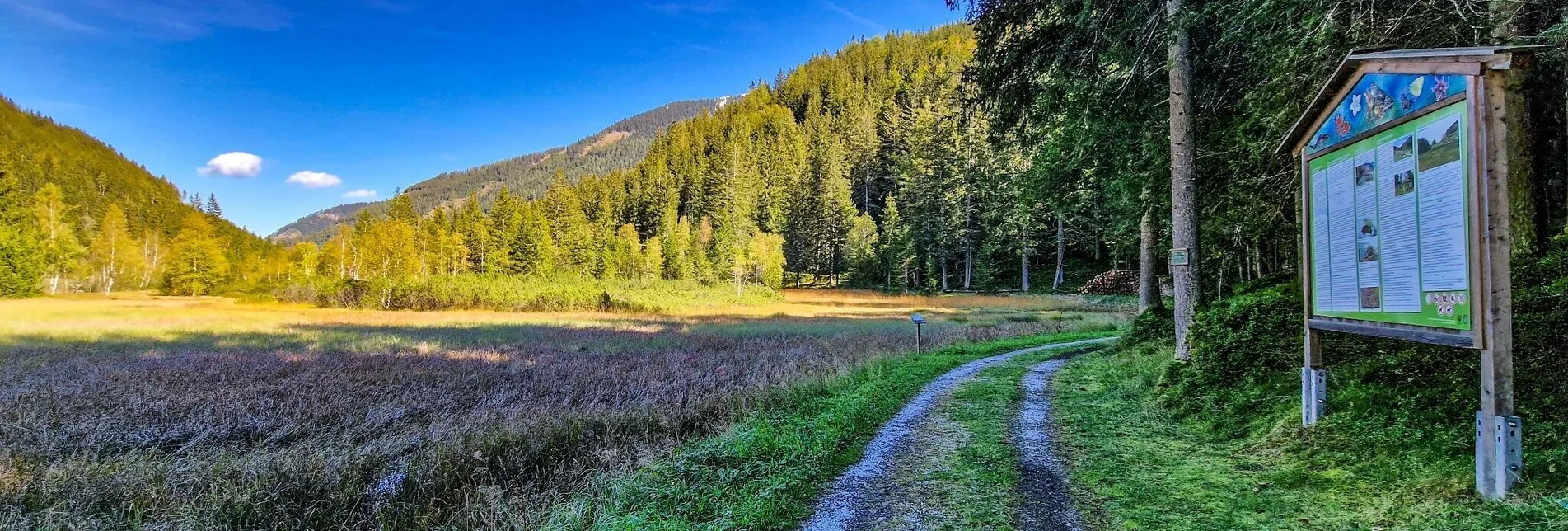 Wanderung Moorrunde Oppenberg - Touren-Impression #1 | © TV Gesäuse