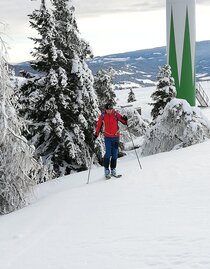 Auf Höhe des Windrades zum Gipfel | © Region Graz | Christine Rotschädl | © Region Graz
