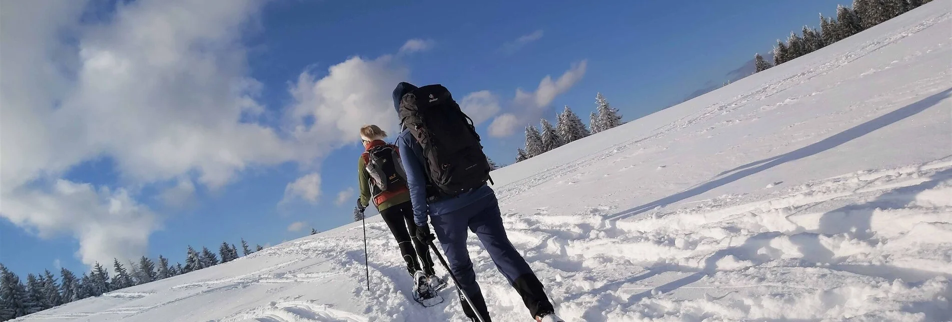 Winter Hiking Snowshoe hike on Plankogel, Sommeralm - Touren-Impression #1 | © Oststeiermark Tourismus