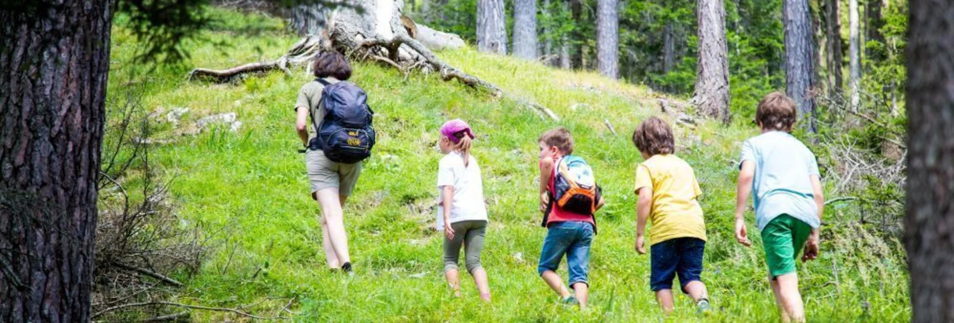 Hiking route Zum Plodererkreuz und zur Bleiweißgrube - Touren-Impression #1 | © Hochsteiermark