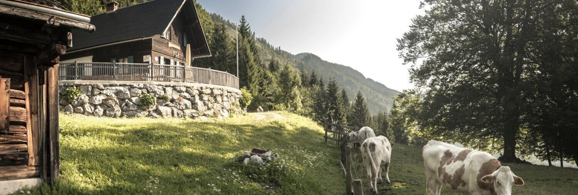 Hiking route Wanderrunde über die Naturfreundehütte und Moaralm Palfau - Touren-Impression #1 | © TV Gesäuse