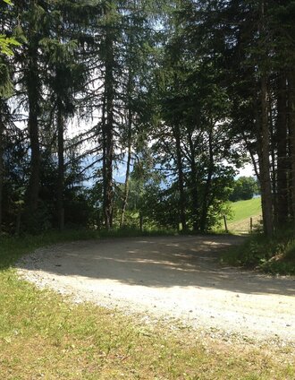 Corner of the forest road above the Wieslechnerhof farm - along the Short Evening Walk | Gerhard Pilz | © Gerhard Pilz