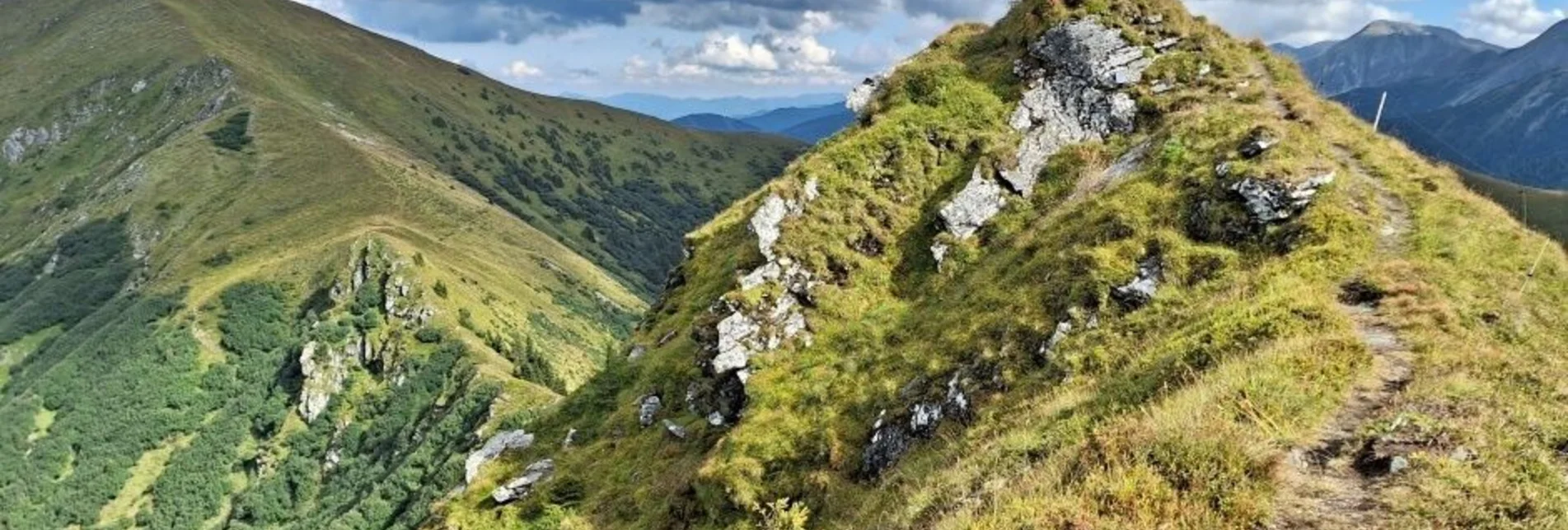 Hiking route On the Himmelkogel over Griesmoarkogel - Touren-Impression #1 | © Weges OG