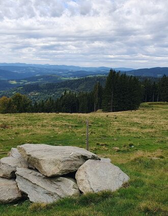 Glatzl Trahütten Alm Ausblick, Gemeinde St. Lorenzen am Wechsel in der Oststeiermark | Anja Reichenbäck | © Oststeiermark Tourismus