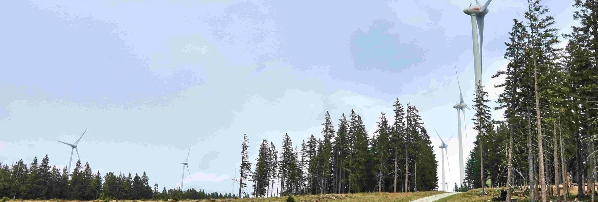 Hiking route On the stone bars, Ratten - Touren-Impression #1 | © Oststeiermark Tourismus