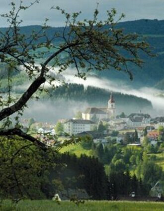 Blick über Birkfeld, Joglland-Waldheimat in der Oststeiermark | Edl-Event GmbH | © Oststeiermark Tourismus