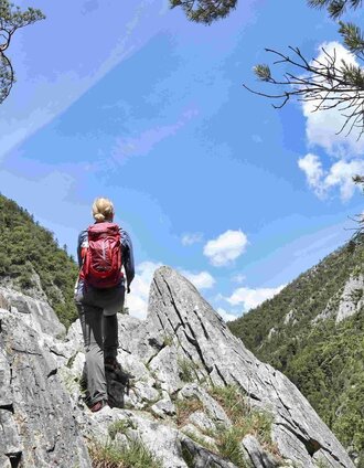 Am Jägersteig in der Weizklamm, Weiz in der Oststeiermark | Weges | © TVB Oststeiermark
