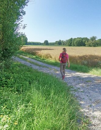Schotterweg der Rundwanderung | WEGES WEGES | © Weges