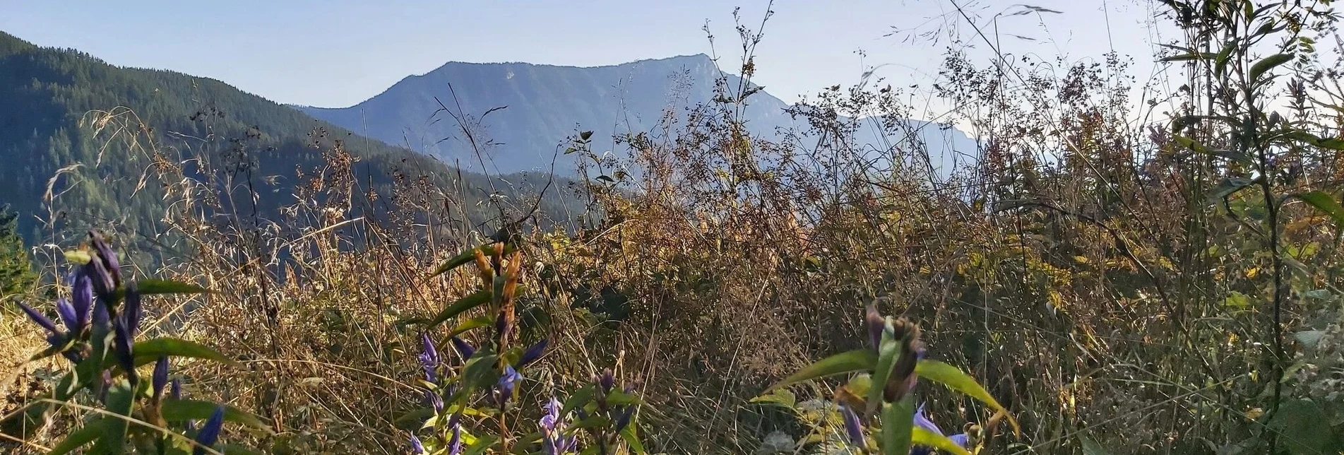 Wanderung Hofbauer Alm-Runde, Breitenau am Hochlantsch - Touren-Impression #1 | © Oststeiermark Tourismus