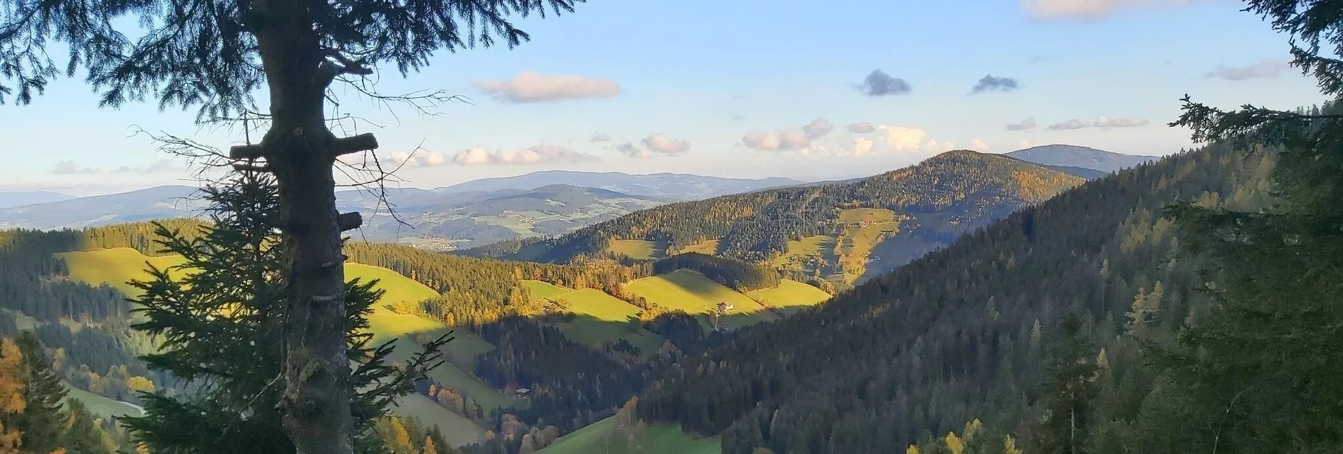 Wanderung Haberlstall-Runde, Gasen - Touren-Impression #1 | © Oststeiermark Tourismus