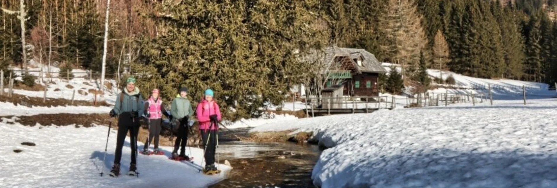 Winter Hiking Snowshoe hike Tyrnaueralm, Teichalm - Touren-Impression #1 | © Weges OG