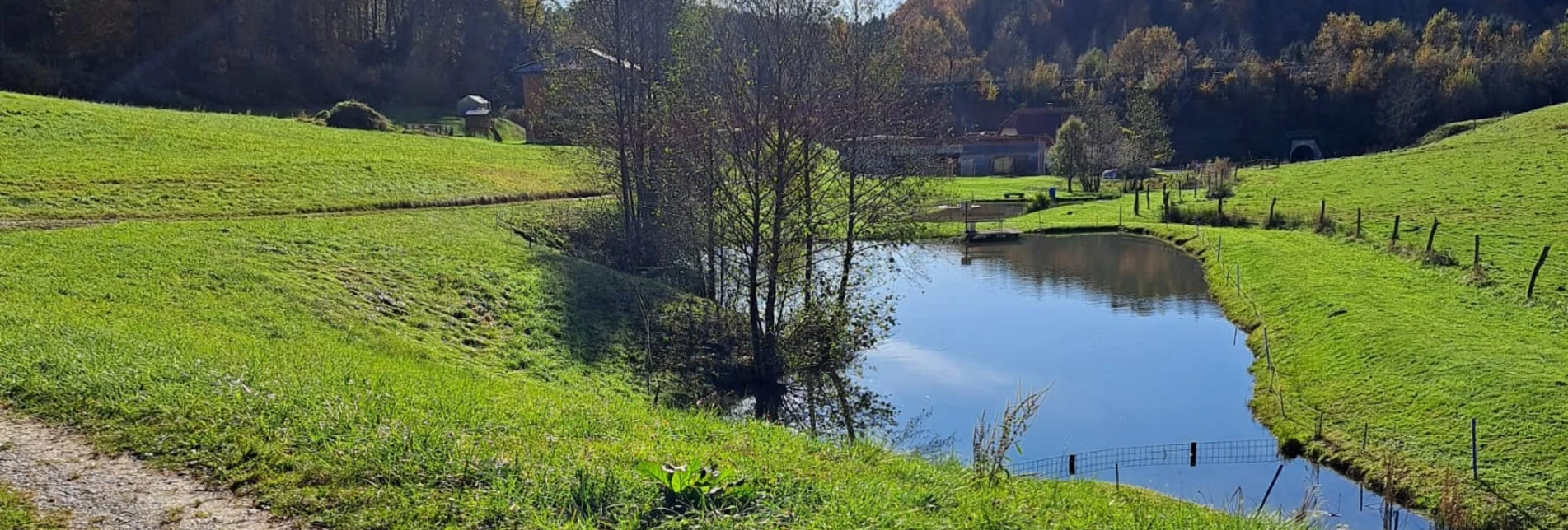 Wanderung wasser HÖREN in Laßnitzhöhe - Touren-Impression #1 | © Weges OG