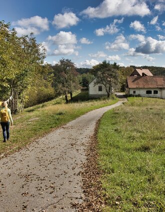 Herbststimmung | Weges OG | © Weges OG
