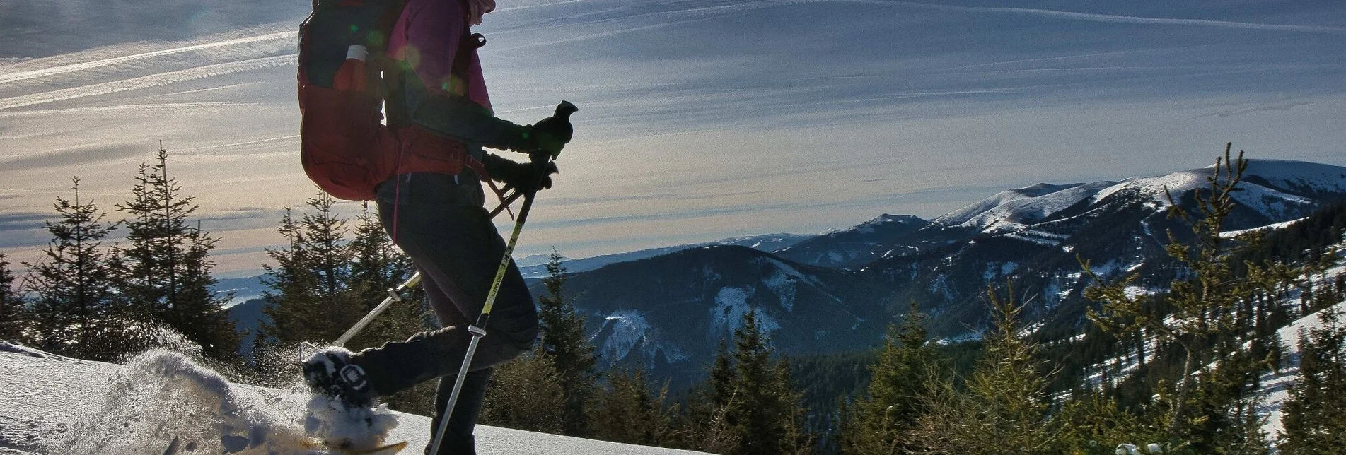 Schneeschuh Fensteralm, 1642 m - Touren-Impression #1 | © Weges OG