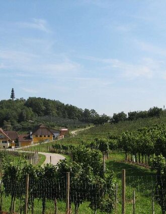 Hödl Hof Obstgarten in Stubenberg, Oststeiermark | Familie Hödl | © Oststeiermark Tourismus