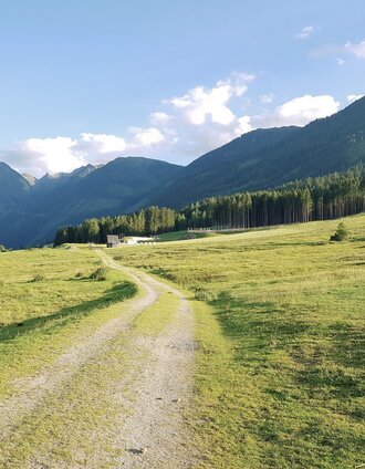 Rohrmooser Frei - an alpine meadow directly in Rohrmoos | Gerhard Pilz | © Gerhard Pilz